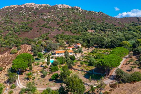 Sale House Lumio 9 Rooms 250 m²