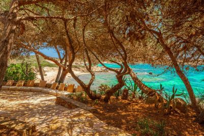 villa 9 Pièces en vente sur BONIFACIO (20169) Vente Villa Bonifacio 9 Pièces 260 m²