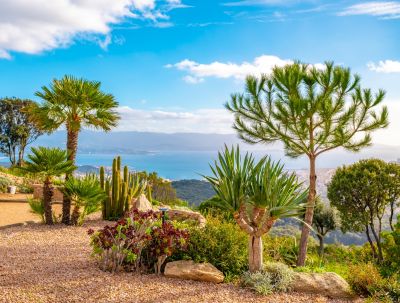 Vente Maison Ajaccio 5&nbsp;Pièces 224&nbsp;m²