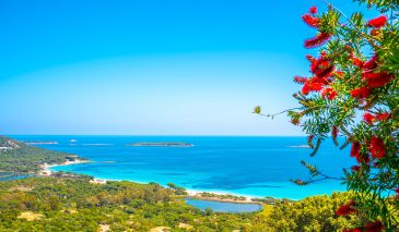 villa 8 Pièces en location saisonnière sur PORTO VECCHIO (20137)