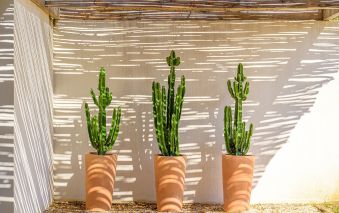 villa 7 Pièces en location saisonnière sur OLMETO (20113)