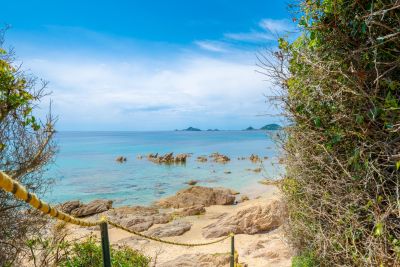Vente Villa Ajaccio 6&nbsp;Pièces 180&nbsp;m²