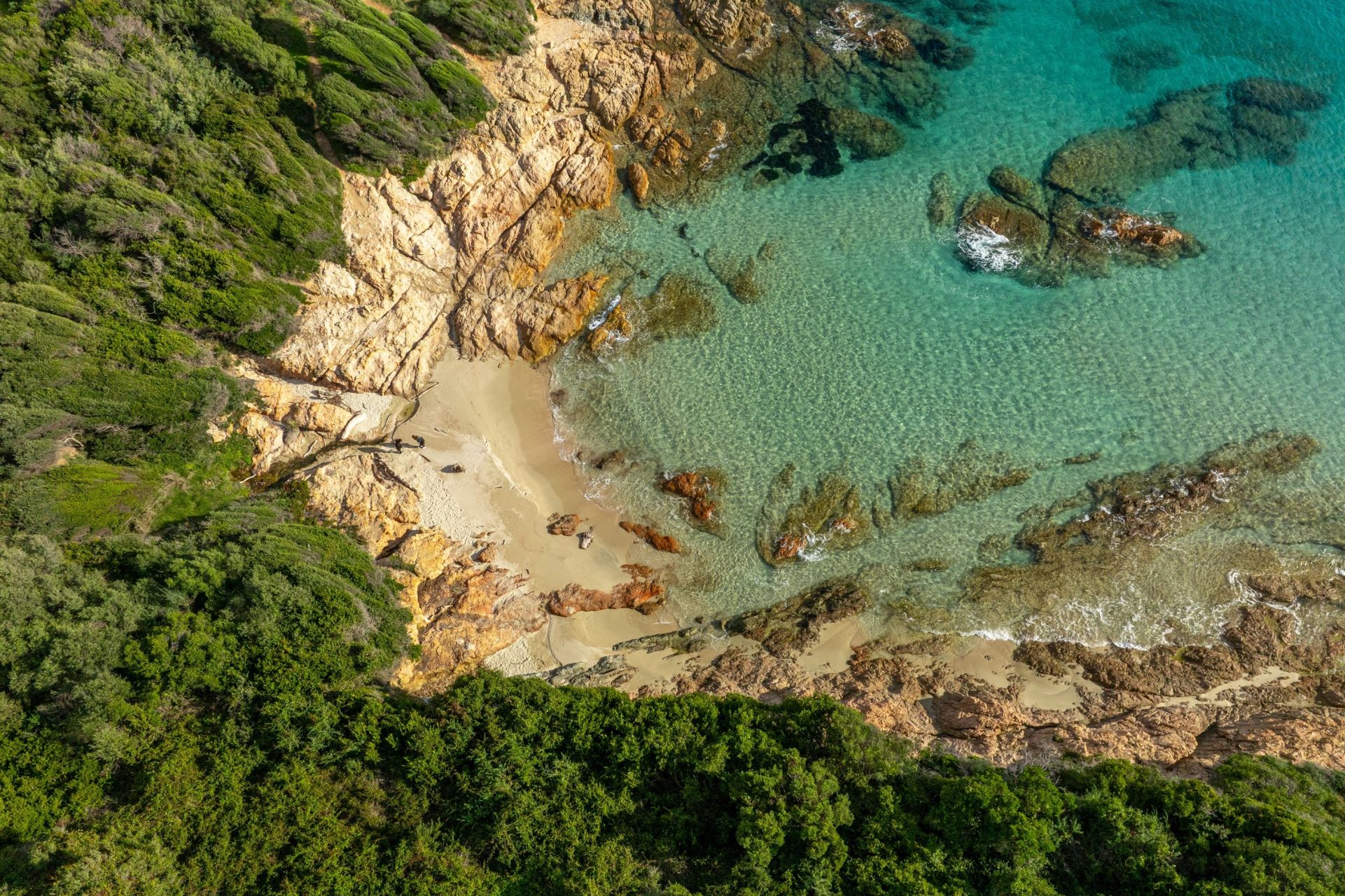 terrain en vente sur SAGONE (20118)