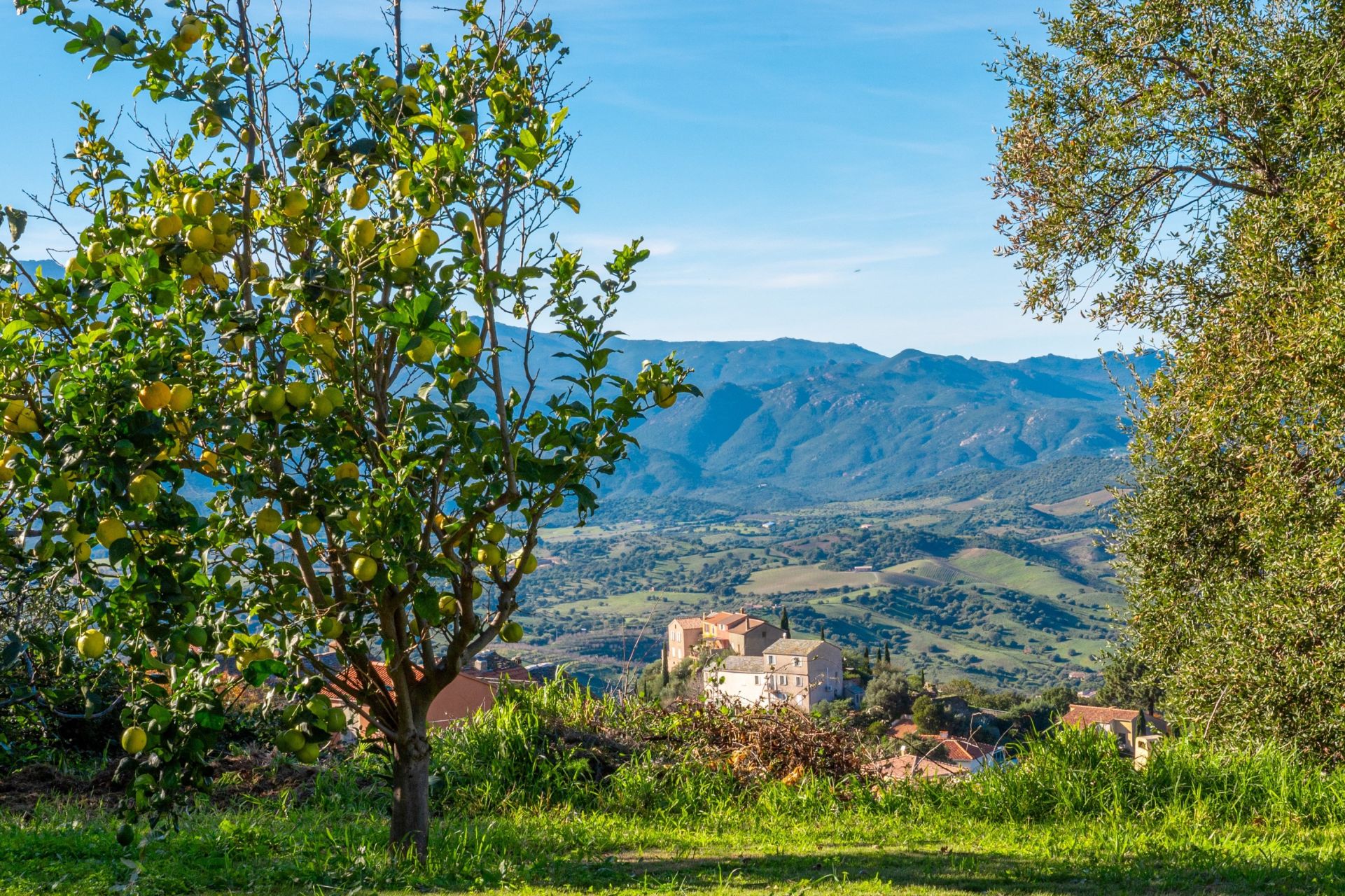 villa 9 Pièces en vente sur ST FLORENT (20217)
