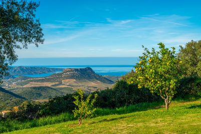 villa 9 Pièces en vente sur ST FLORENT (20217) Vente Villa Saint-Florent 9 Pièces 225 m²