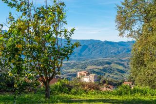 villa 9 Pièces en vente sur ST FLORENT (20217)