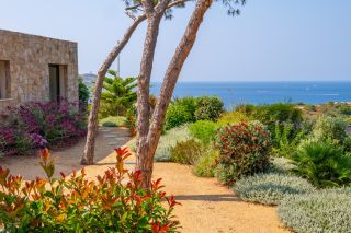 house 7 Rooms for seasonal rent on CALVI (20260)