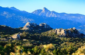villa 7 Rooms for sale on PIANOTTOLI CALDARELLO (20131)