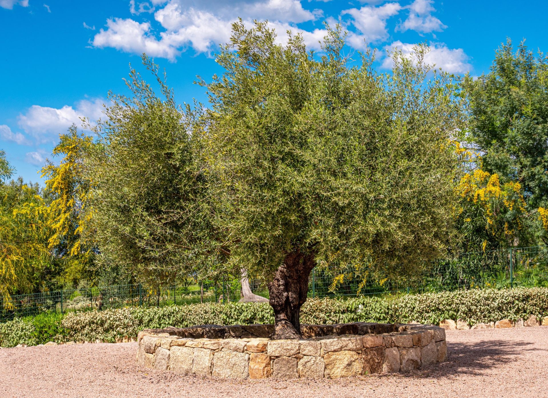 villa 10 Pièces en vente sur PORTICCIO (20166)