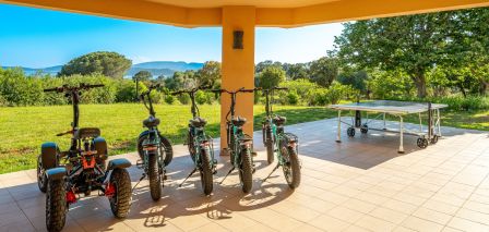 castle 13 Rooms for seasonal rent on ZONZA (20144)