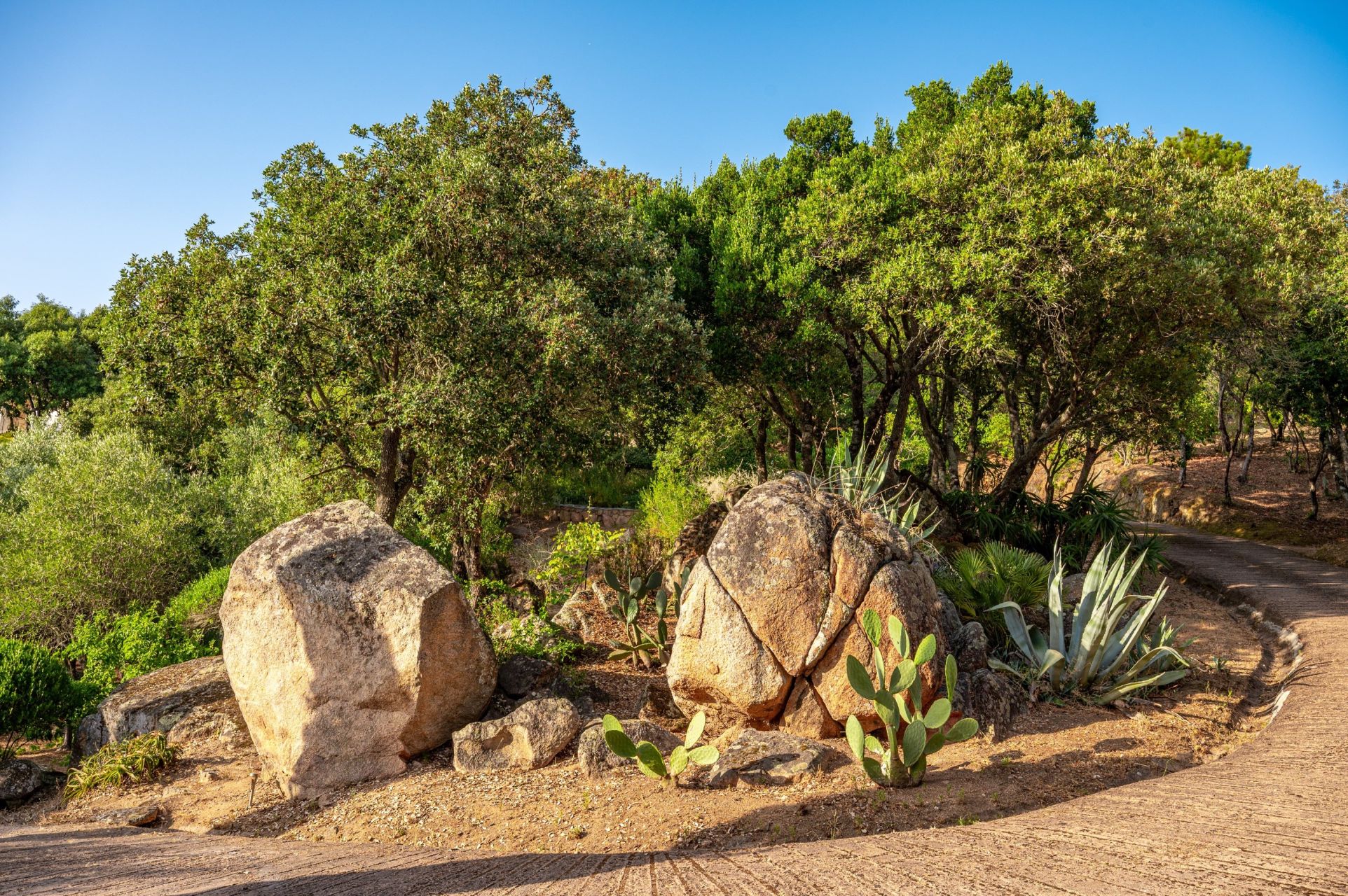 villa 10 Pièces en vente sur PIETROSELLA (20166)