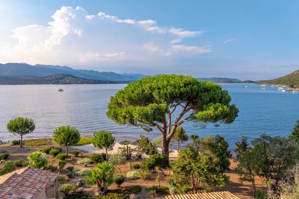 Sale Villa Porto-Vecchio 6 Rooms 250 m²