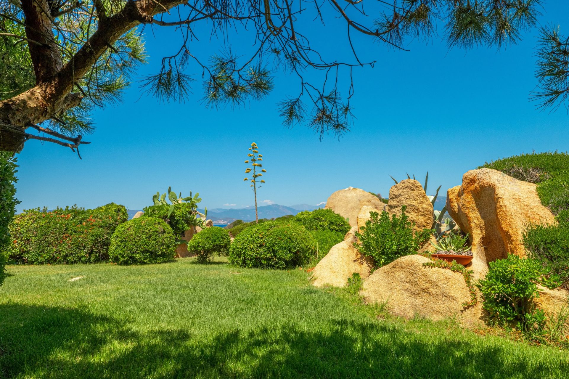 maison 6 Pièces en location saisonnière sur AJACCIO (20000)