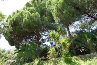 villa 7 Pièces en vente sur AJACCIO (20000)