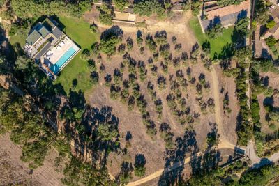 Rental Villa Saint-Florent 8 Rooms 500 m²