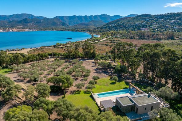 Rental Villa Saint-Florent 8 Rooms 500 m²