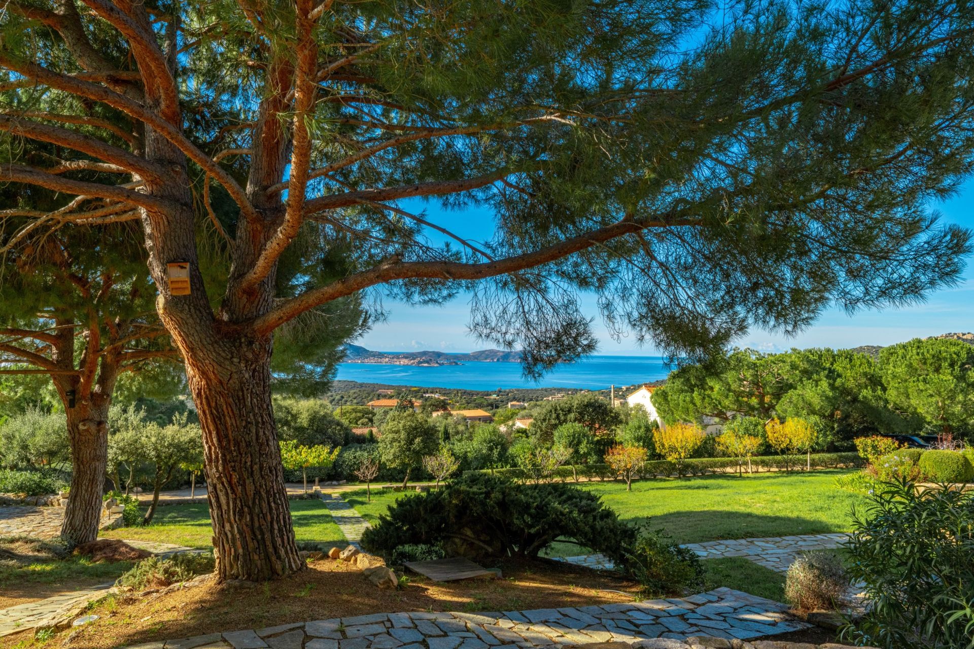 villa 9 Rooms for sale on LUMIO (20260)