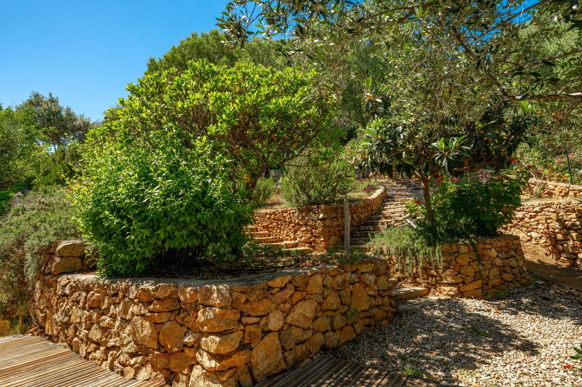 villa 11 Pièces en vente sur AJACCIO (20000)