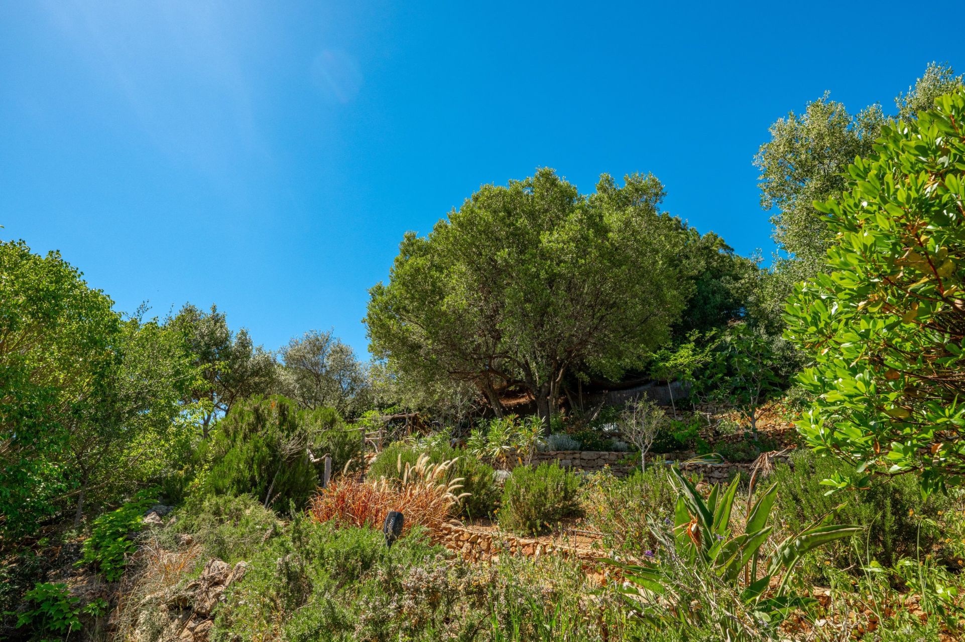villa 11 Pièces en vente sur AJACCIO (20000)