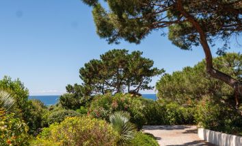 villa 7 Pièces en vente sur AJACCIO (20000)