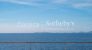 villa 11 Rooms for sale on COTI CHIAVARI (20138)