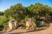 villa 10 Rooms for sale on PIETROSELLA (20166)