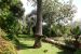 villa 7 Rooms for sale on AJACCIO (20000)