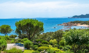 Entrust us your search